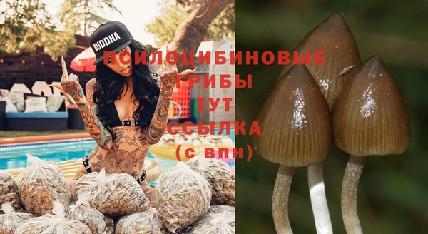 бутират Алзамай