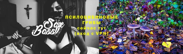 MDMA Алексин
